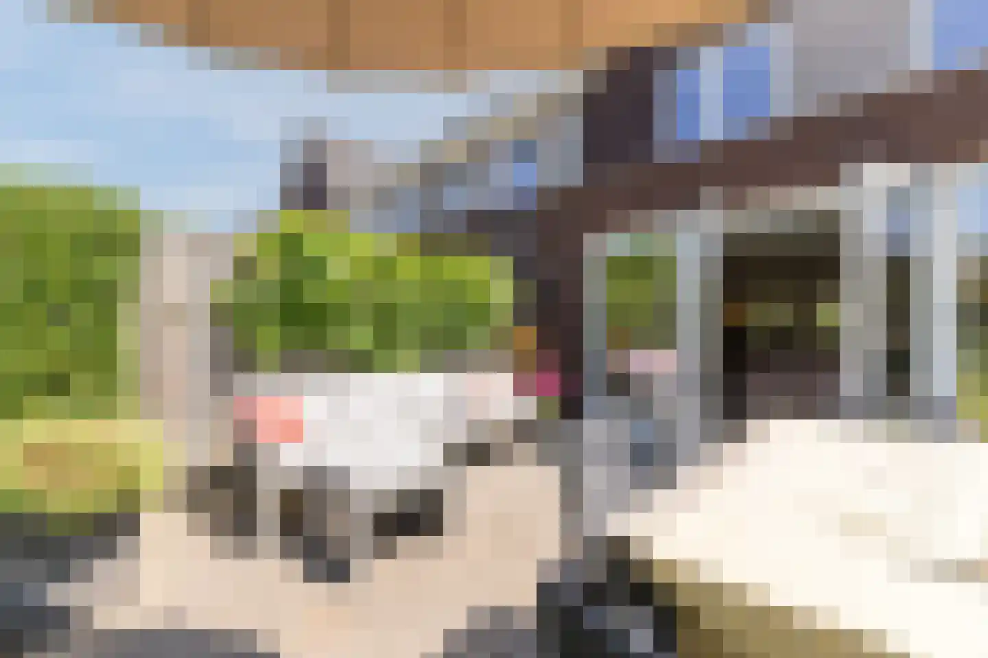 Blokakker 15 Udenhout thumbnail 18