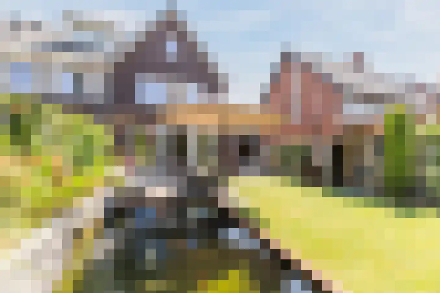 Blokakker 15 Udenhout thumbnail 22