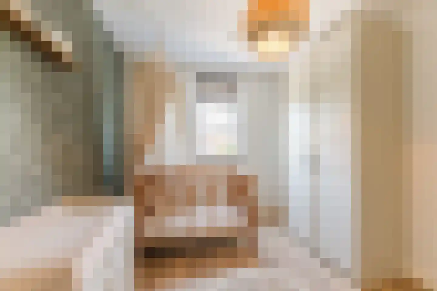 Blokakker 15 Udenhout thumbnail 32