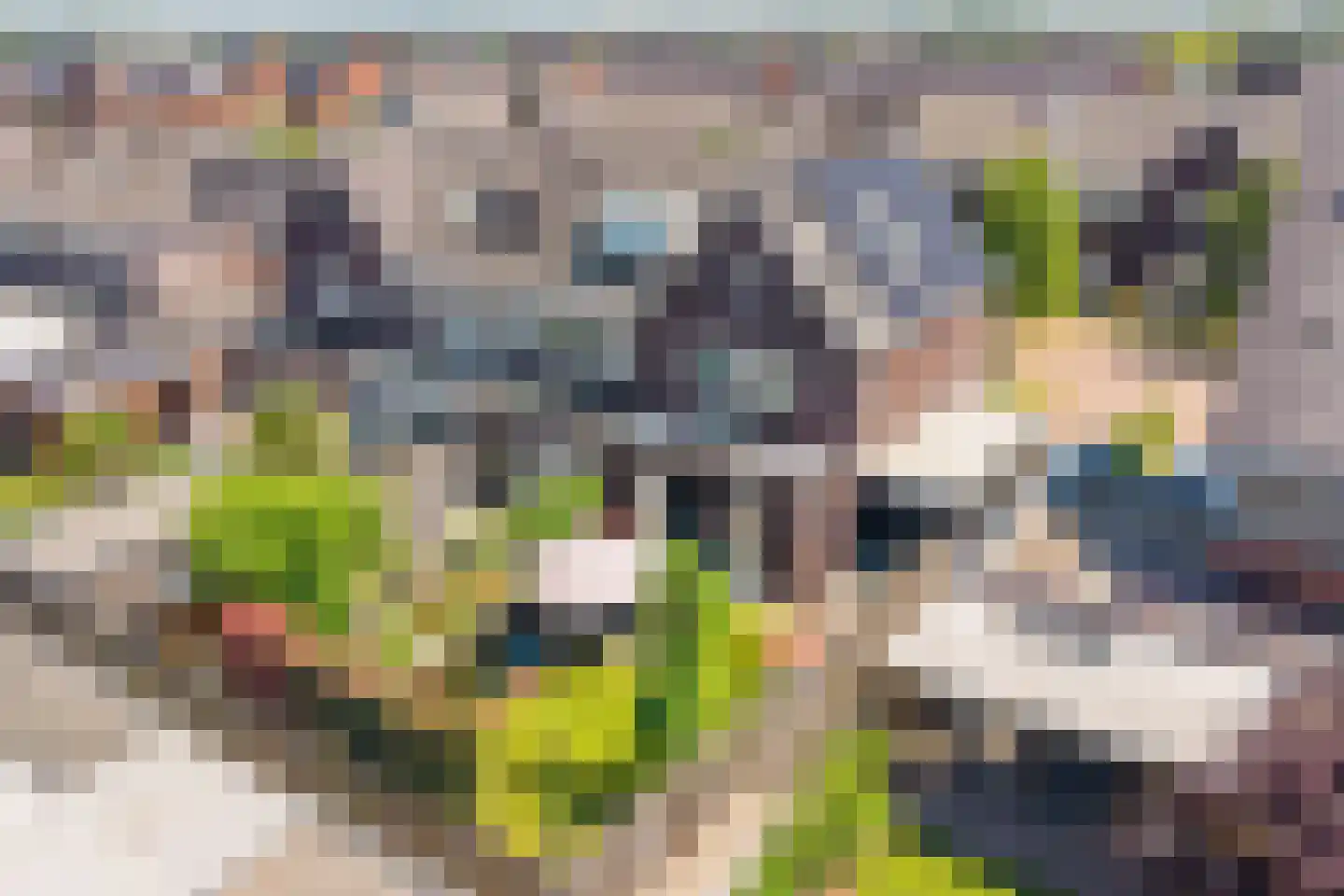 Blokakker 15 Udenhout thumbnail 45