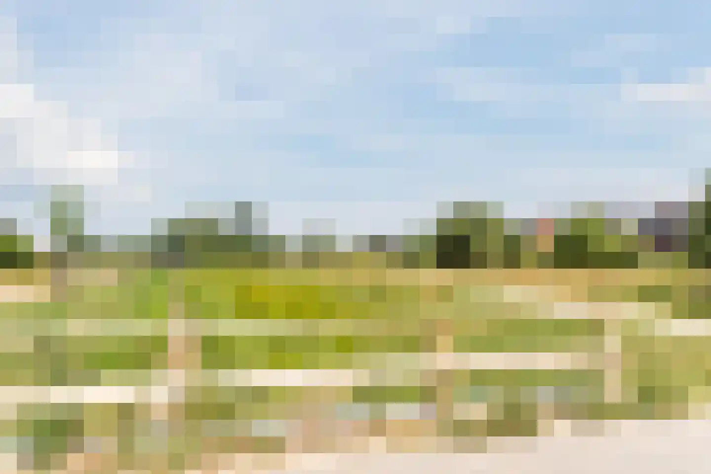 Blokakker 15 Udenhout thumbnail 53