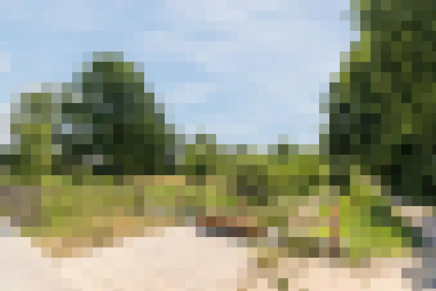Blokakker 15 Udenhout thumbnail 54