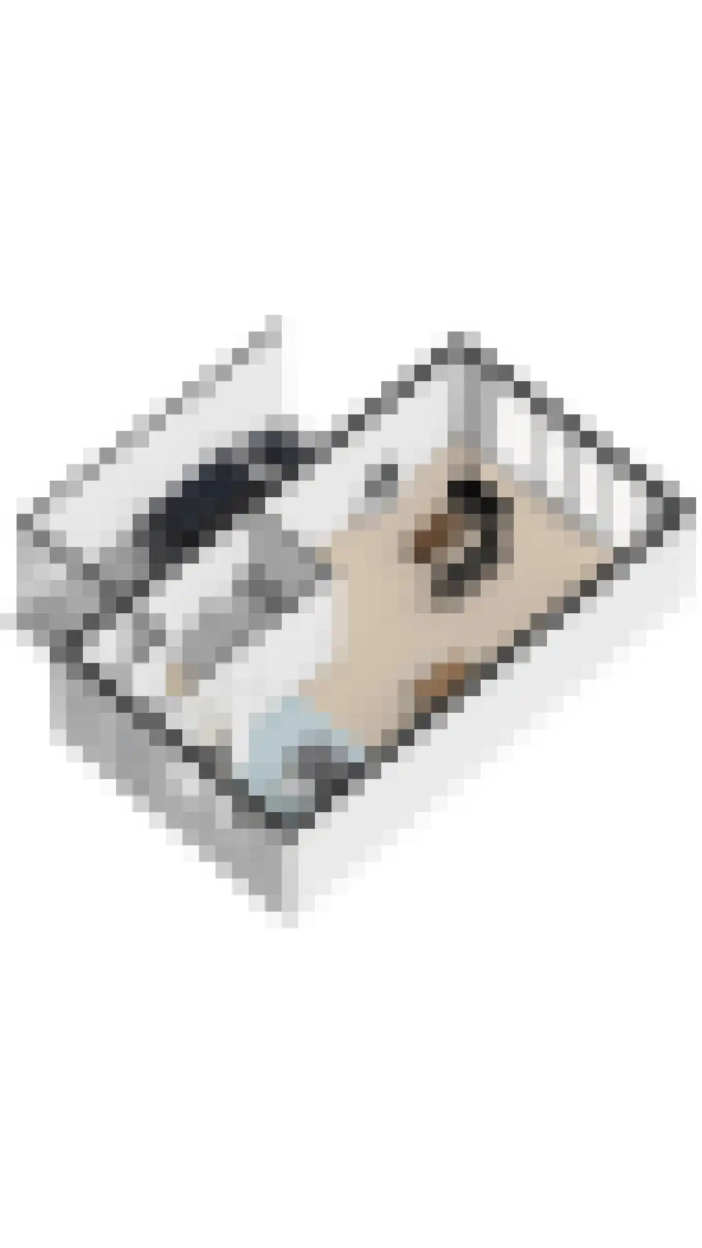 Blokakker 15 Udenhout thumbnail 58
