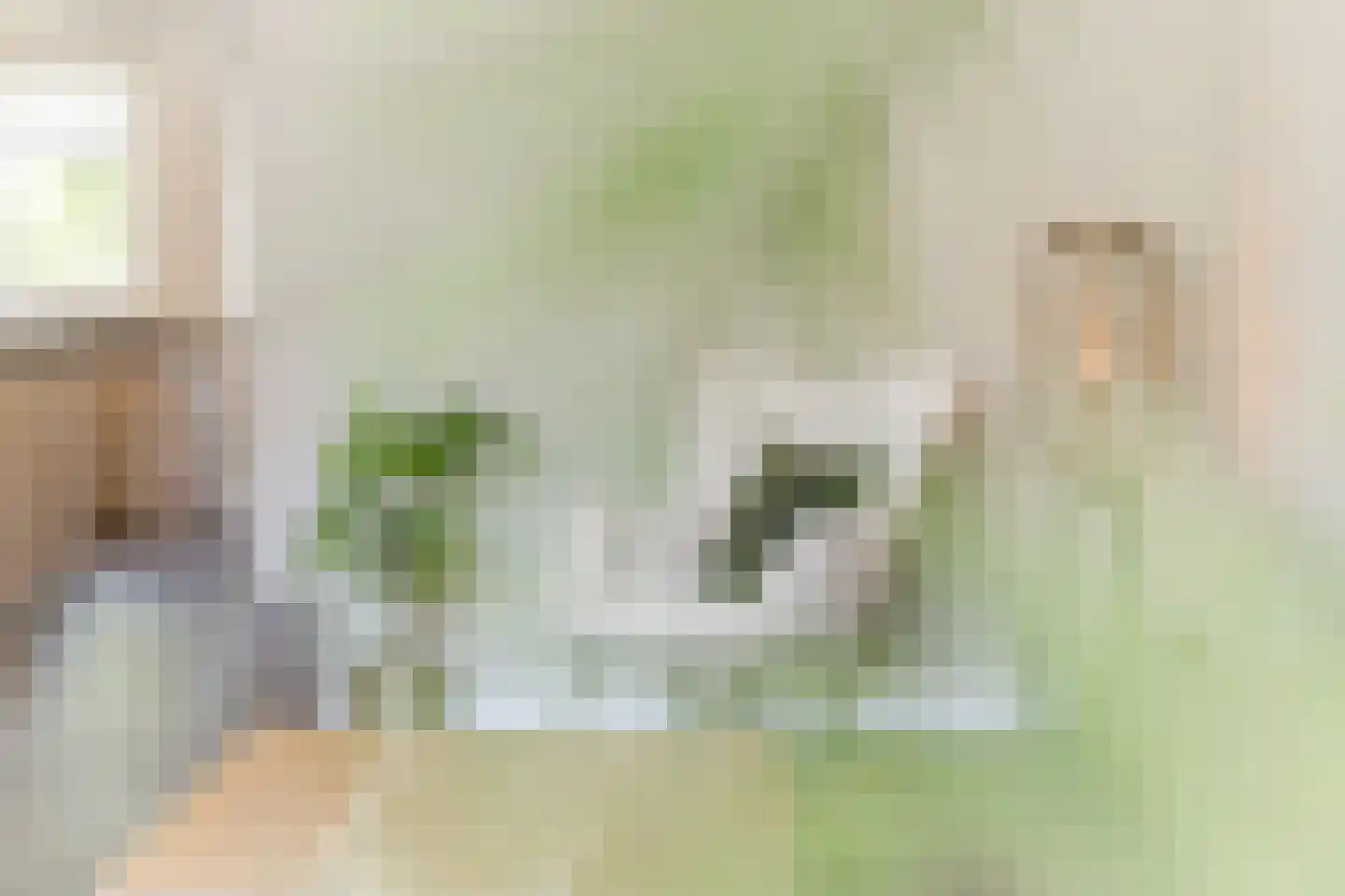 Blokakker 15 Udenhout thumbnail 8