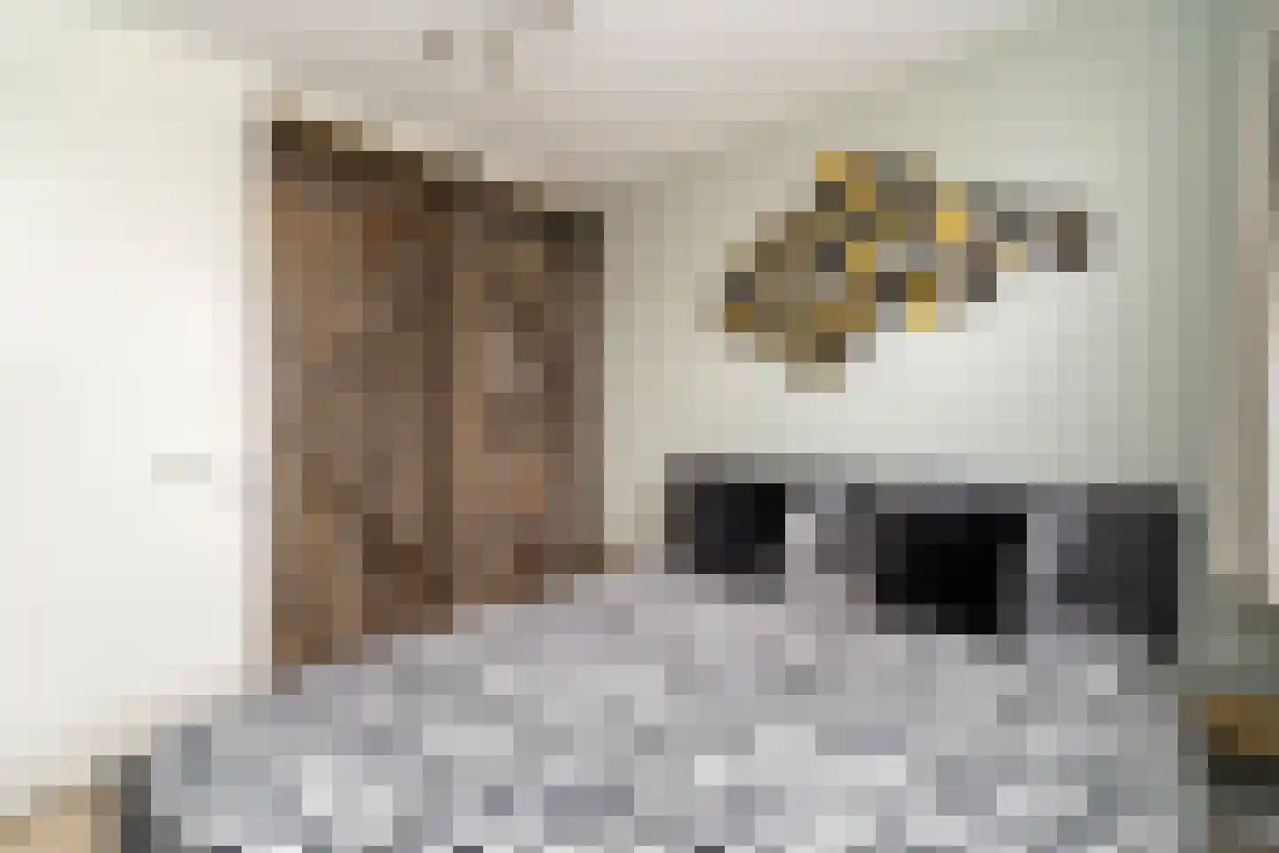 Blokakker 28 Udenhout thumbnail 17