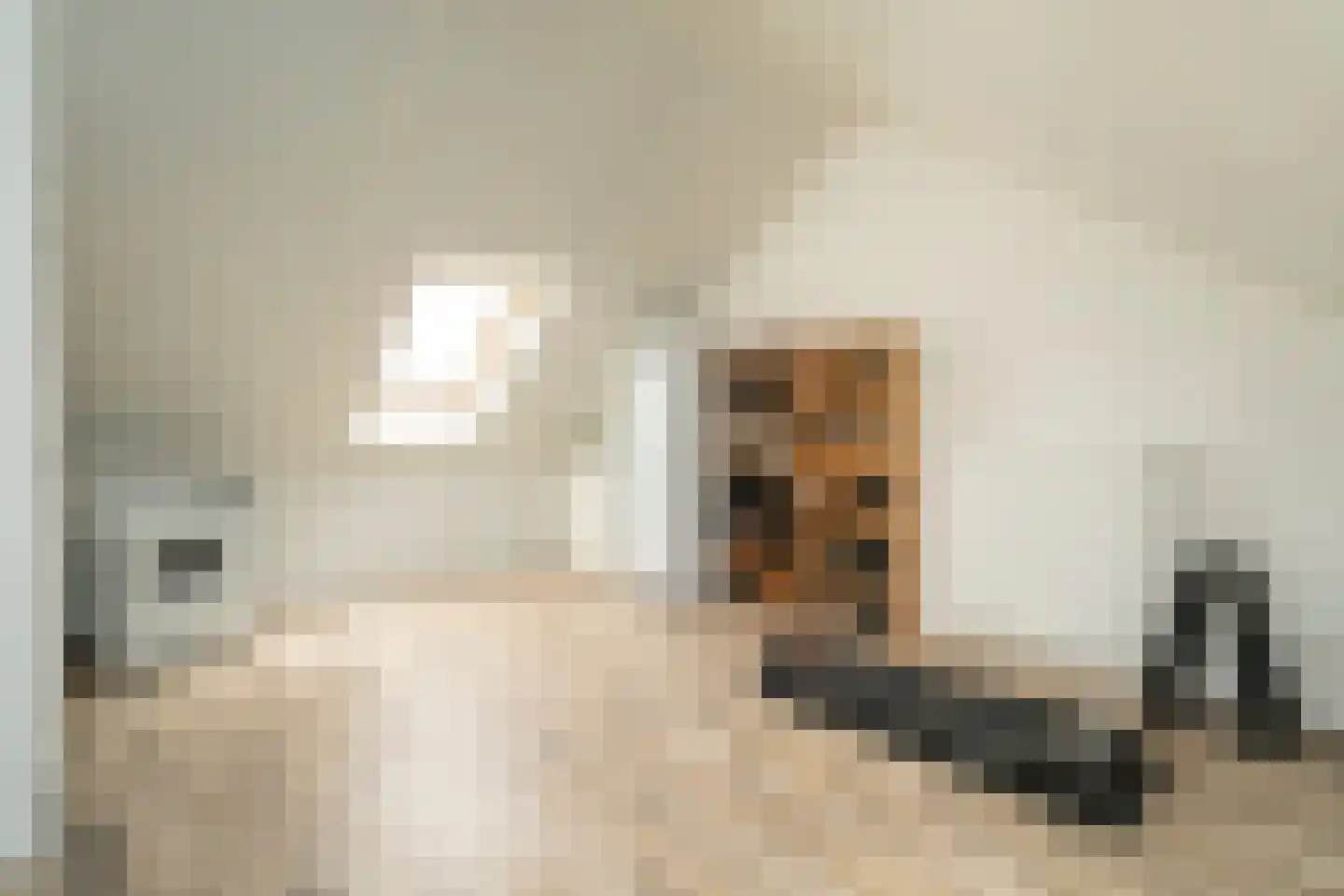 Blokakker 28 Udenhout thumbnail 24