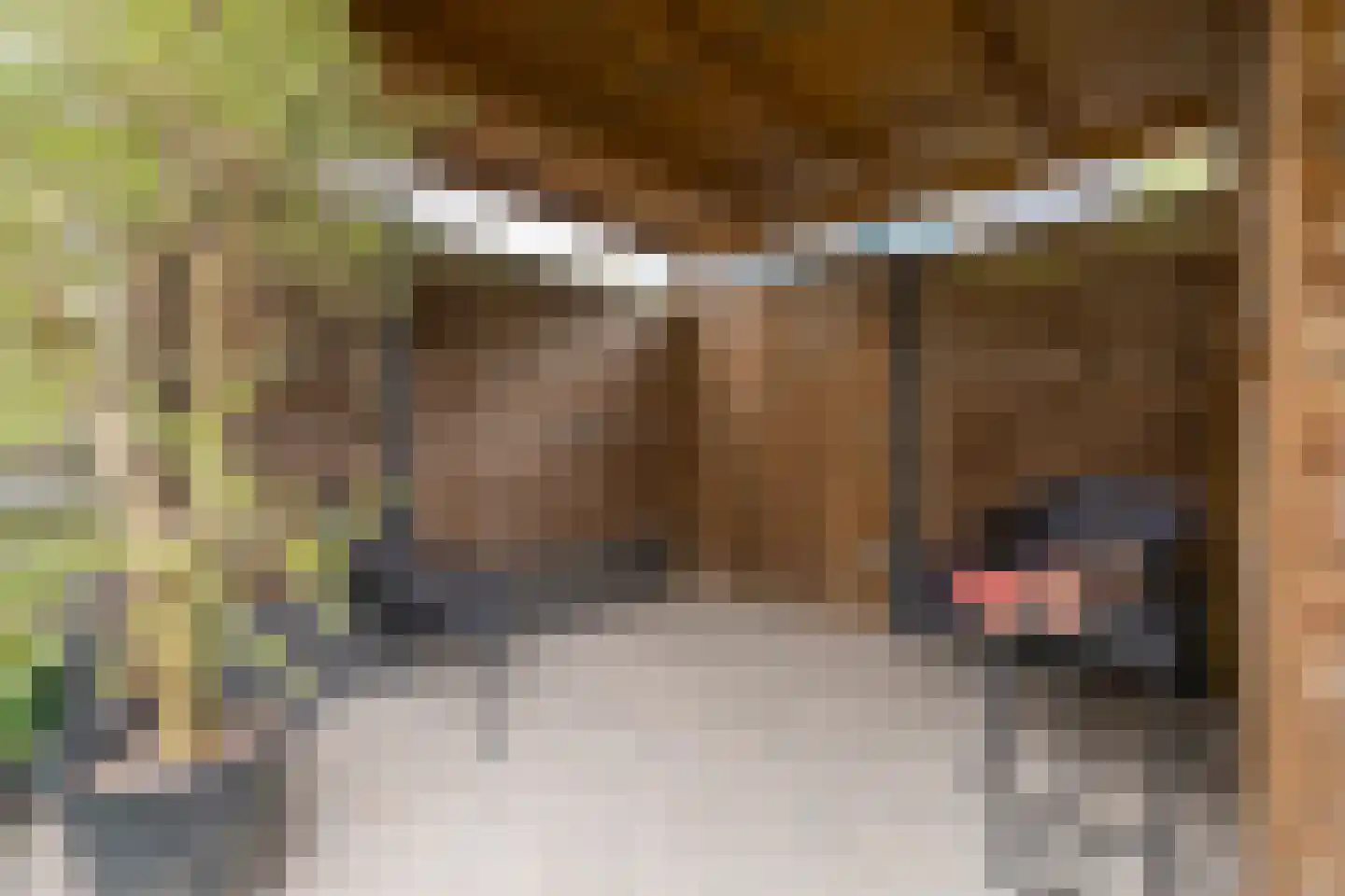 Blokakker 28 Udenhout thumbnail 29