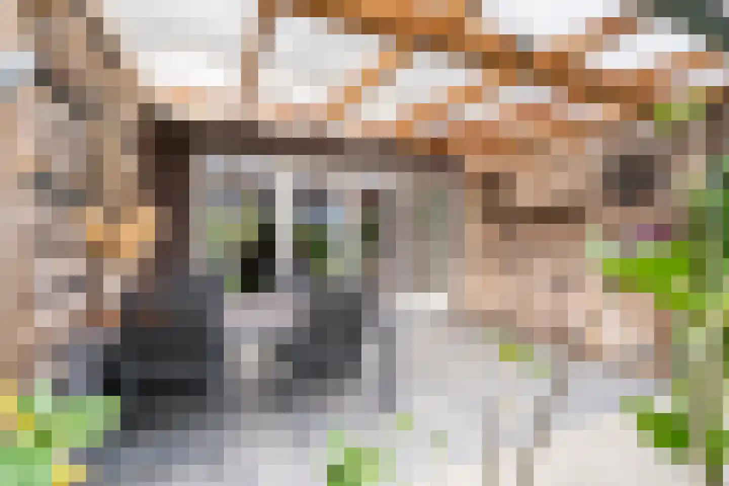 Blokakker 28 Udenhout thumbnail 31
