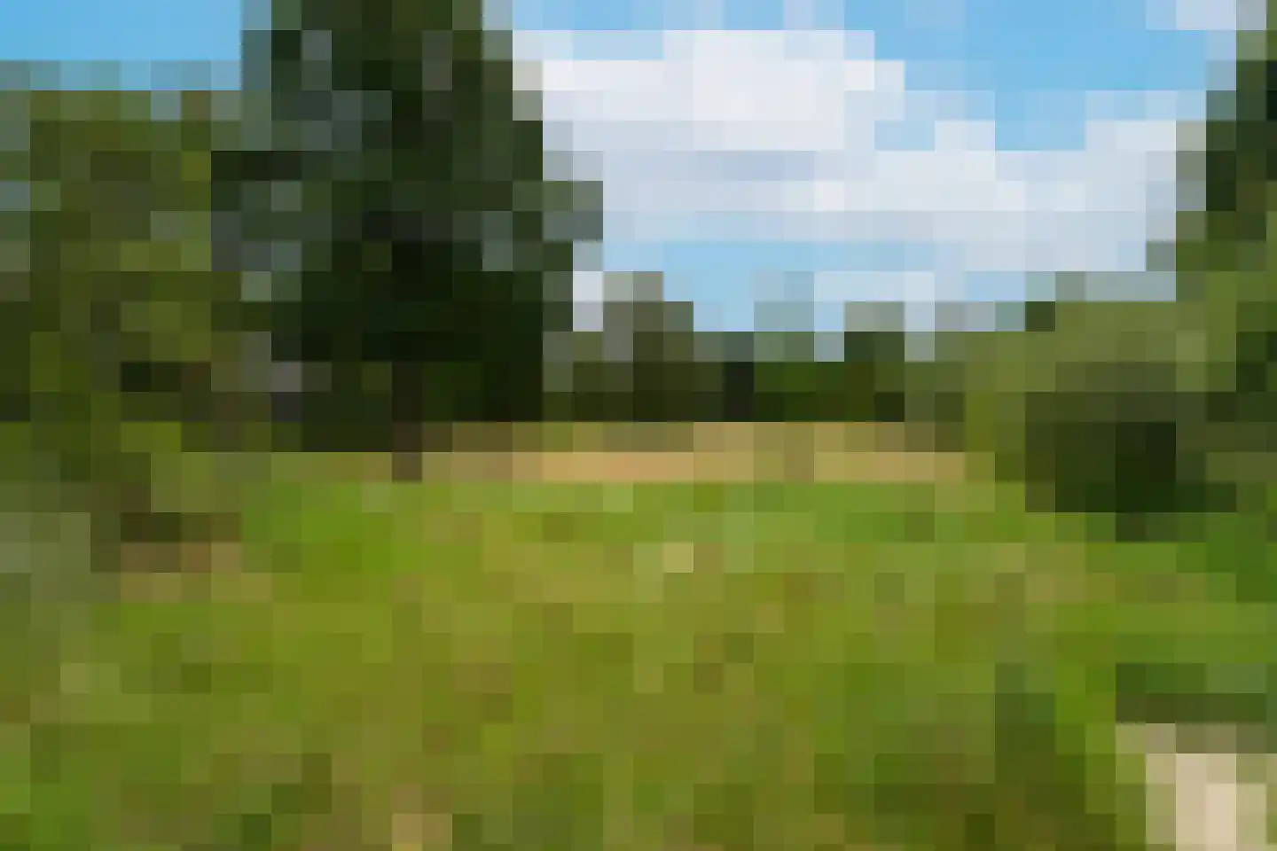 Blokakker 28 Udenhout thumbnail 34