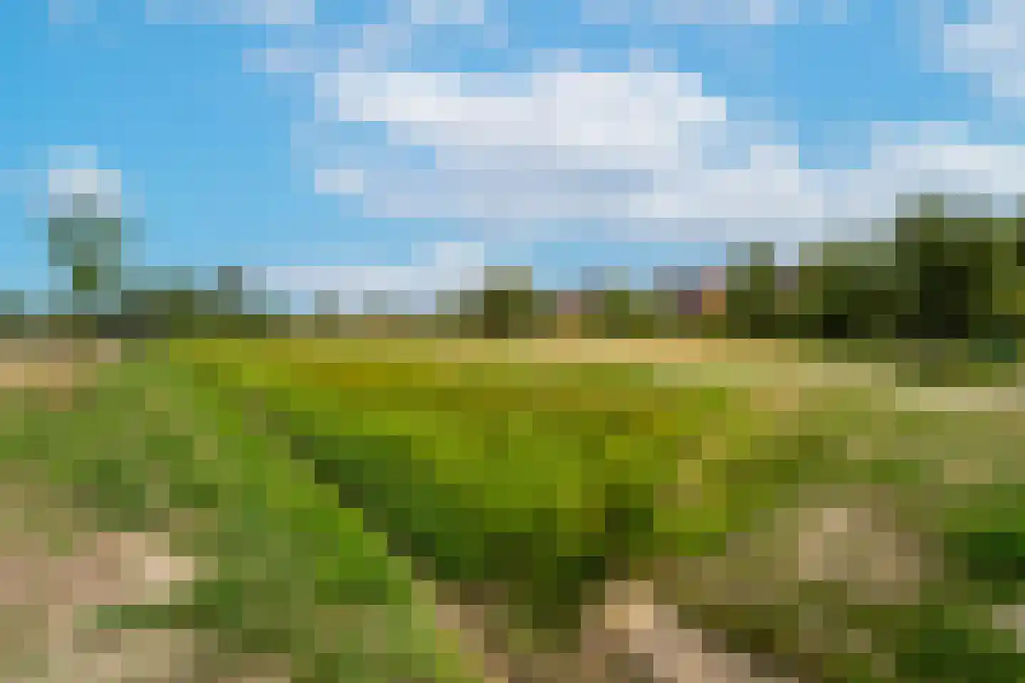 Blokakker 28 Udenhout thumbnail 35