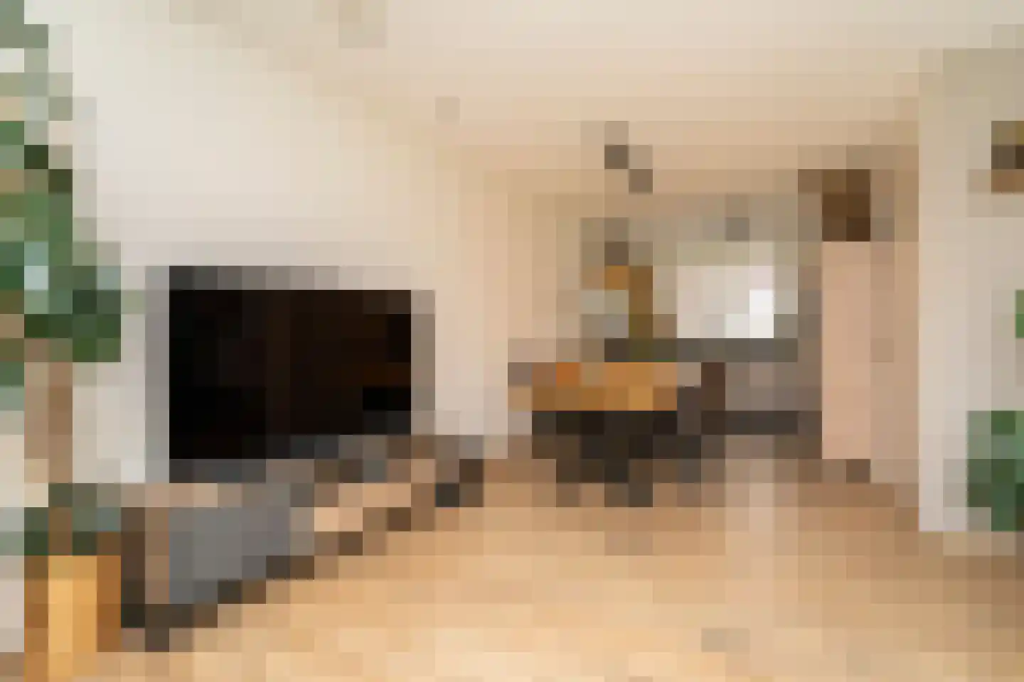 Blokakker 28 Udenhout thumbnail 9
