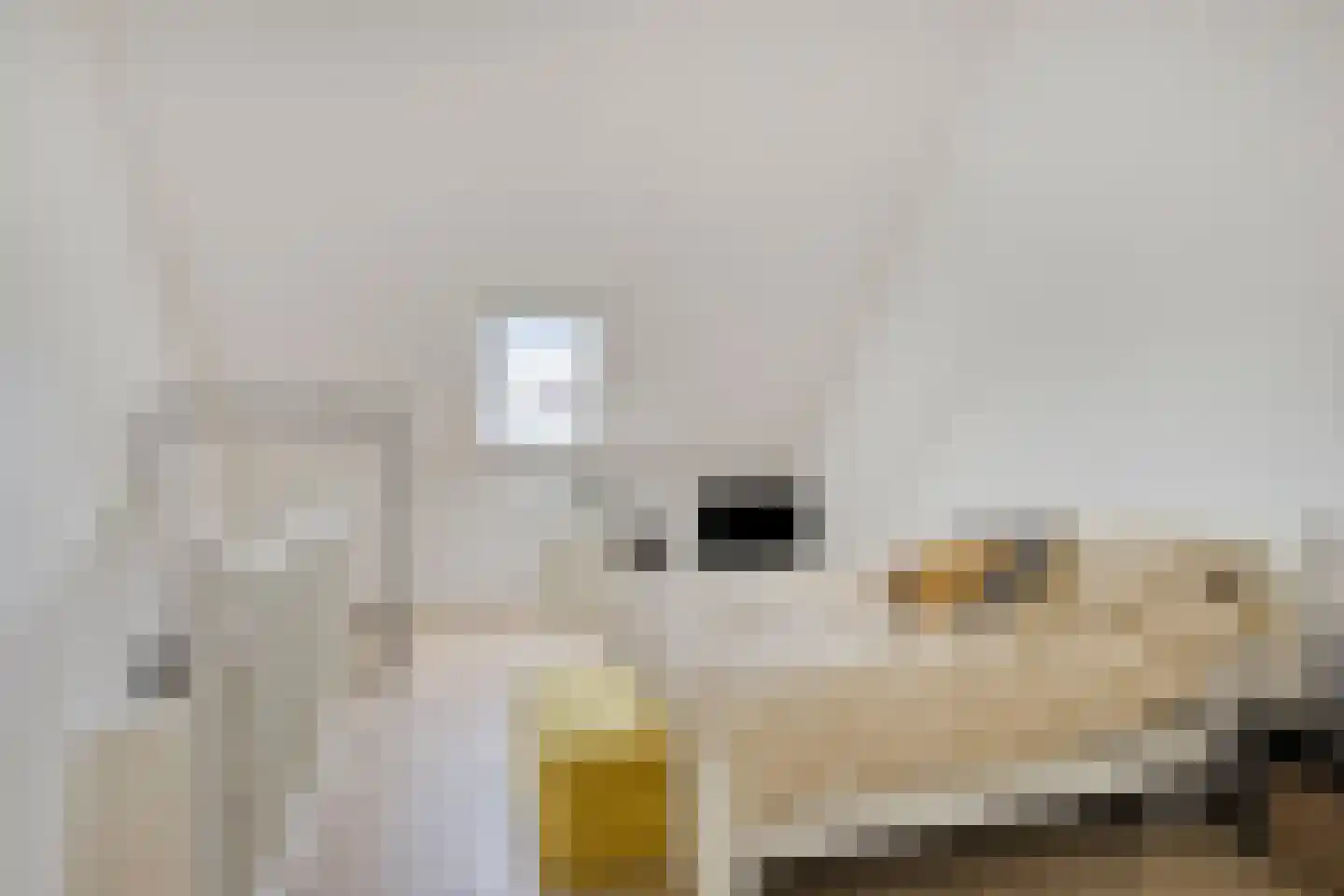 Blokakker 56 Udenhout thumbnail 24