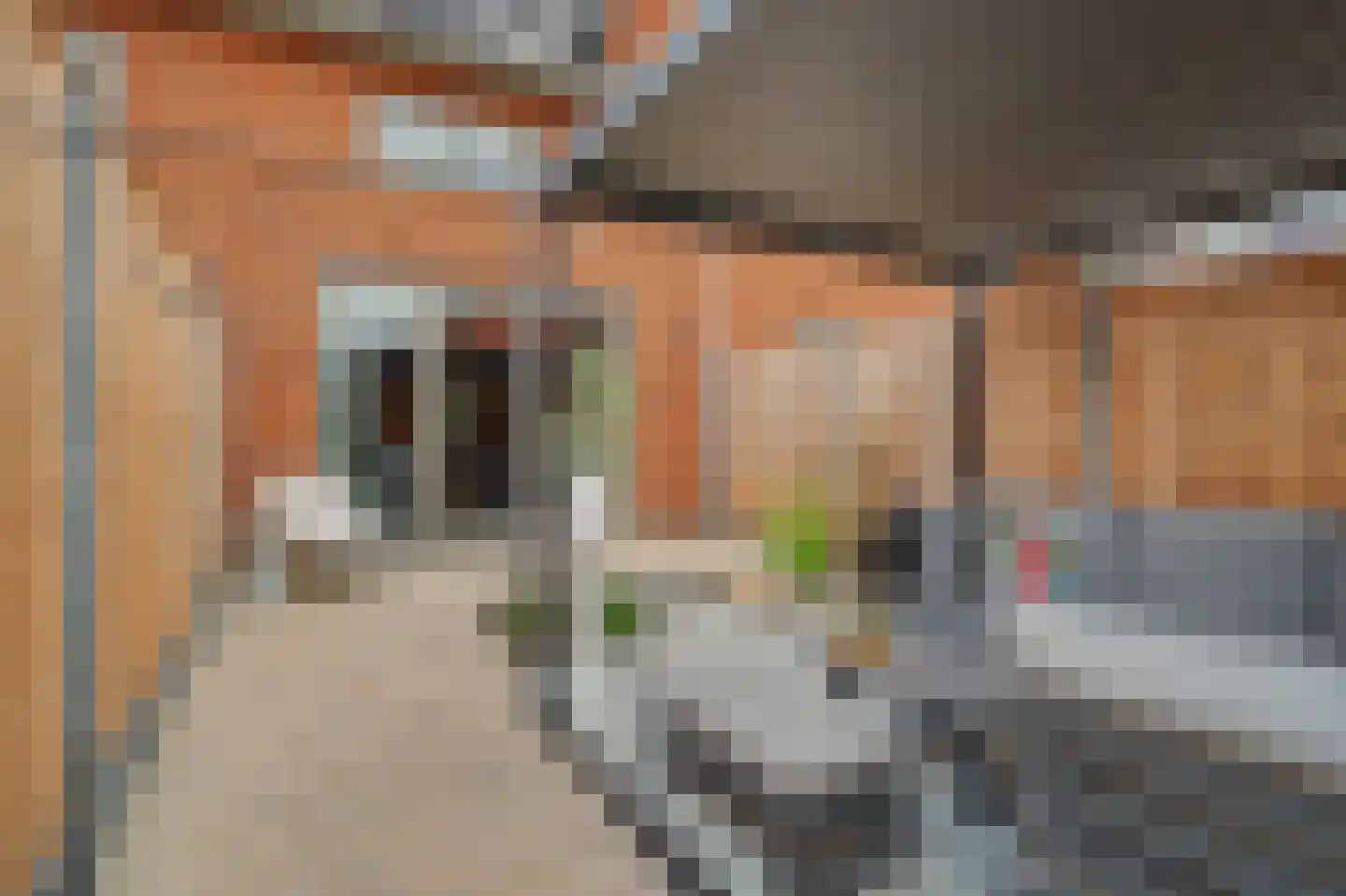 Blokakker 58 Udenhout thumbnail 26
