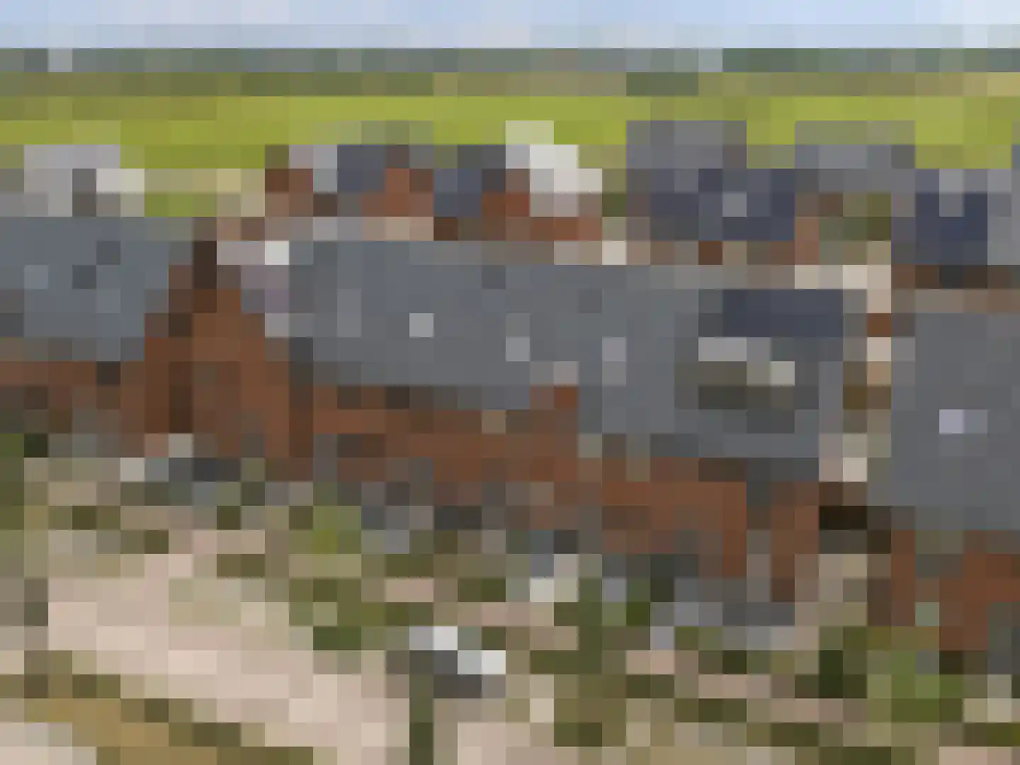Blokakker 58 Udenhout thumbnail 35