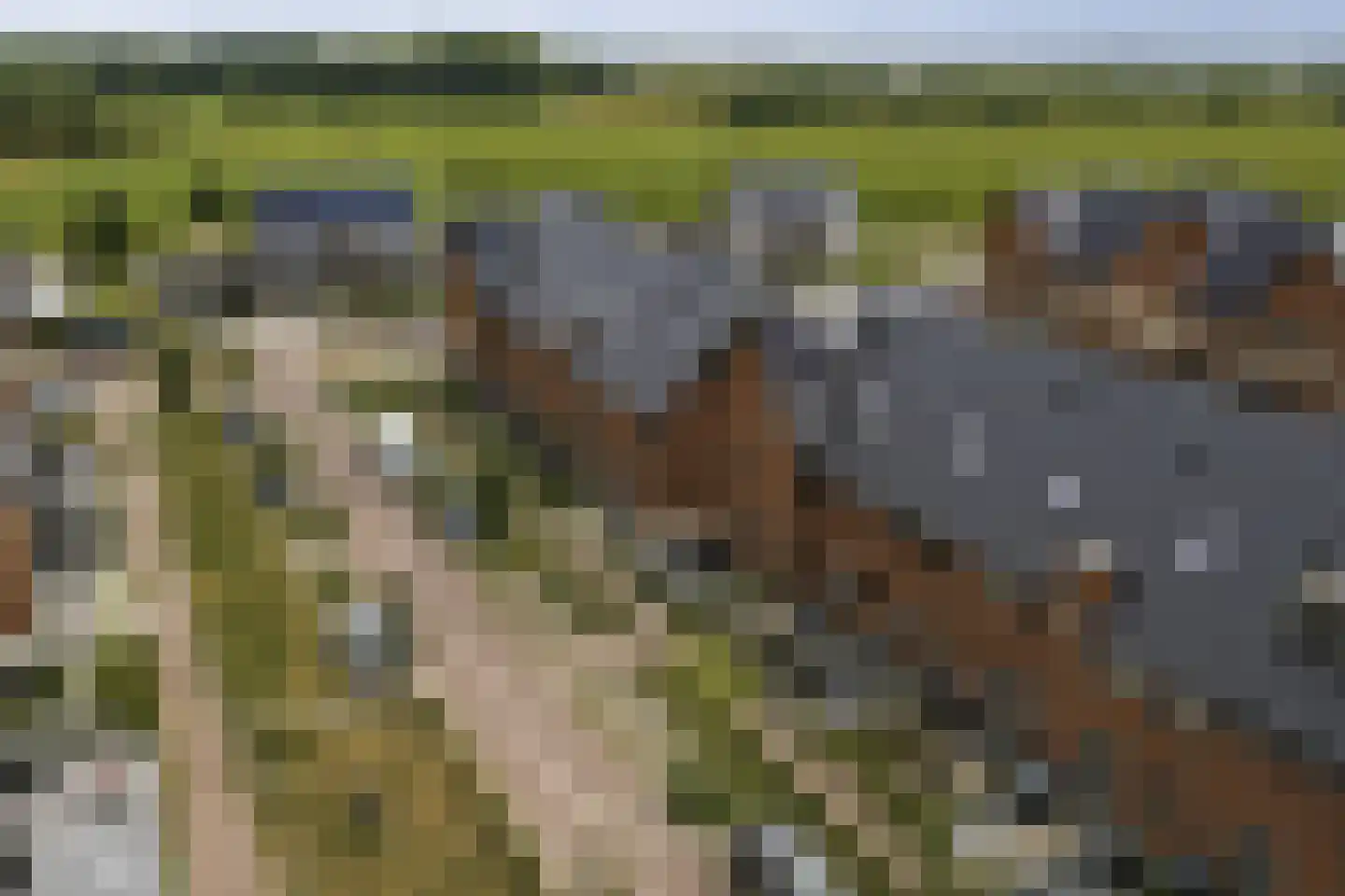 Blokakker 58 Udenhout thumbnail 36