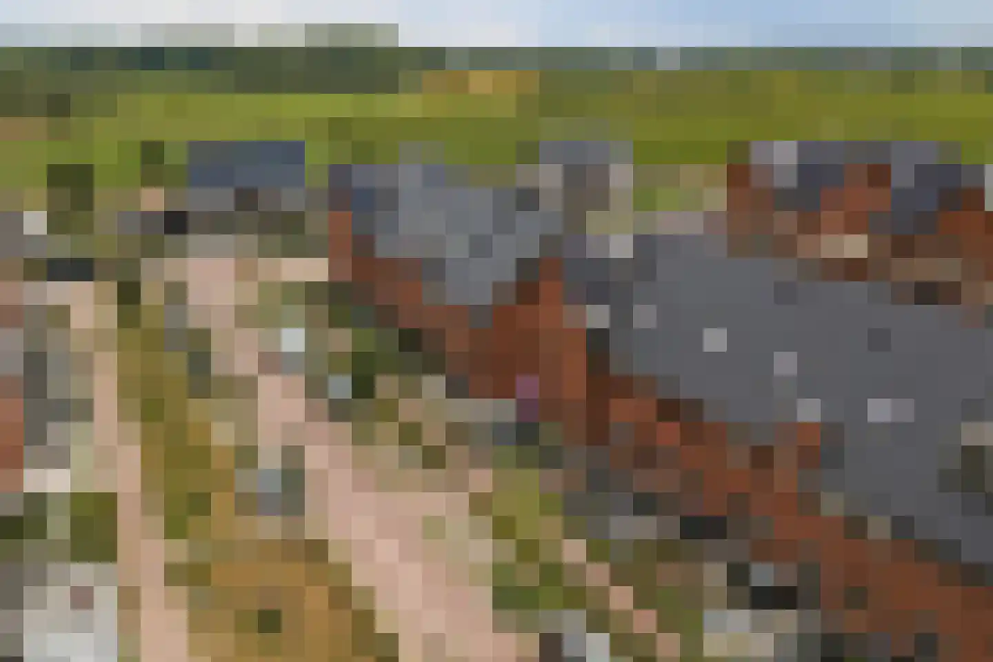 Blokakker 58 Udenhout thumbnail 37