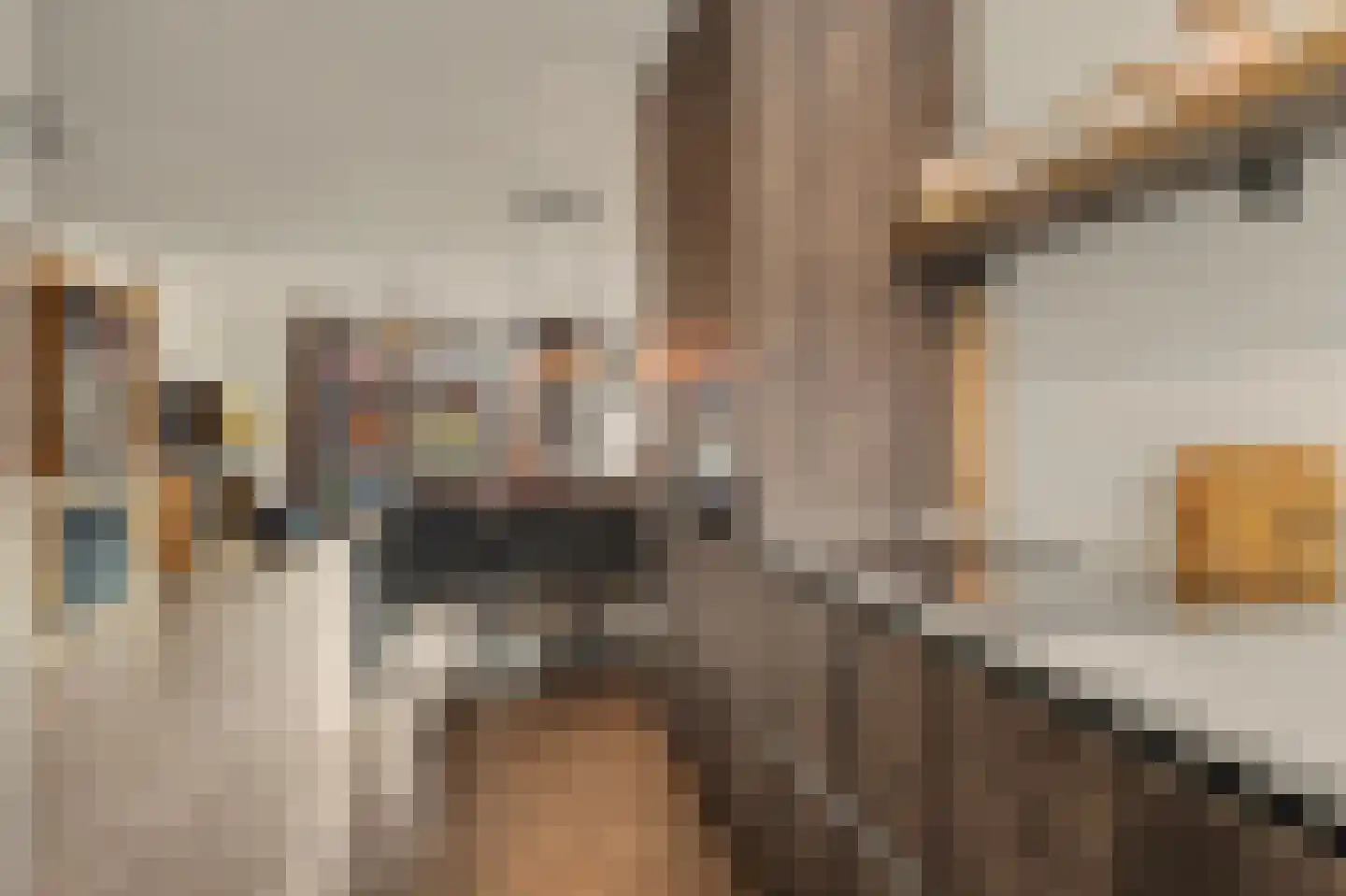 Blokakker 58 Udenhout thumbnail 7
