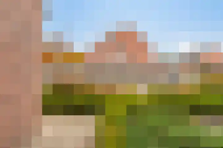 Blokakkers 4 Riel thumbnail 11