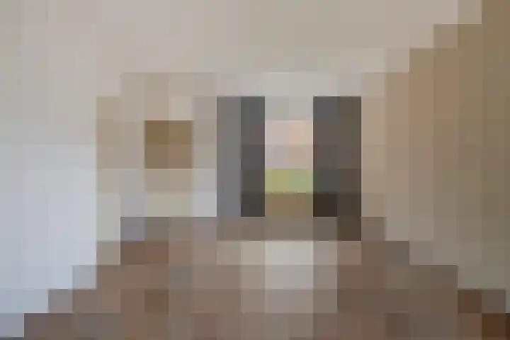 Blokakkers 4 Riel thumbnail 13