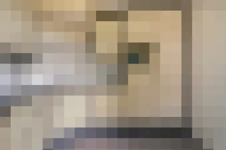 Blokakkers 4 Riel thumbnail 18
