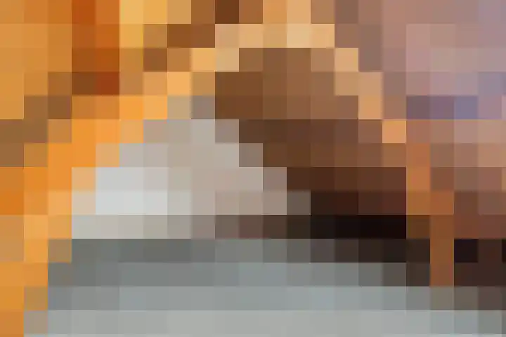 Blokakkers 4 Riel thumbnail 31