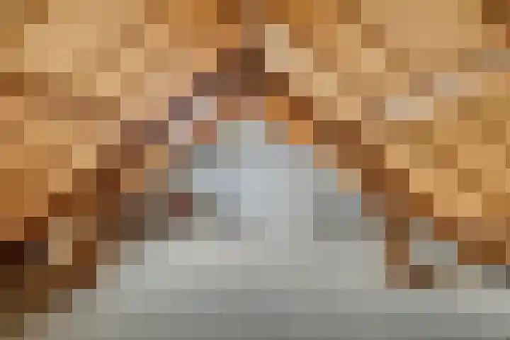 Blokakkers 4 Riel thumbnail 32