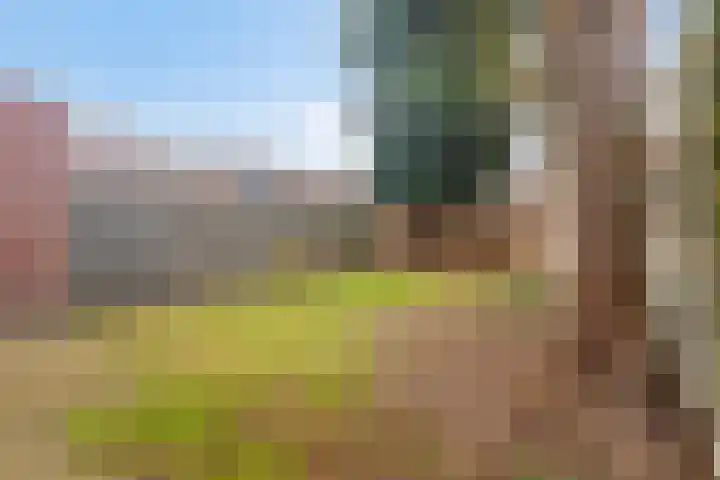Blokakkers 4 Riel thumbnail 35