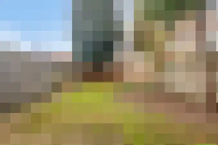 Blokakkers 4 Riel thumbnail 36