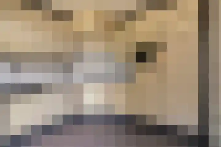 Blokakkers 4 Riel thumbnail 5