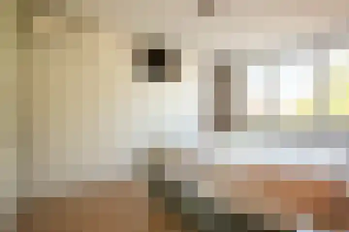 Blokbrekersstraat 1 Berg en Terblijt thumbnail 15