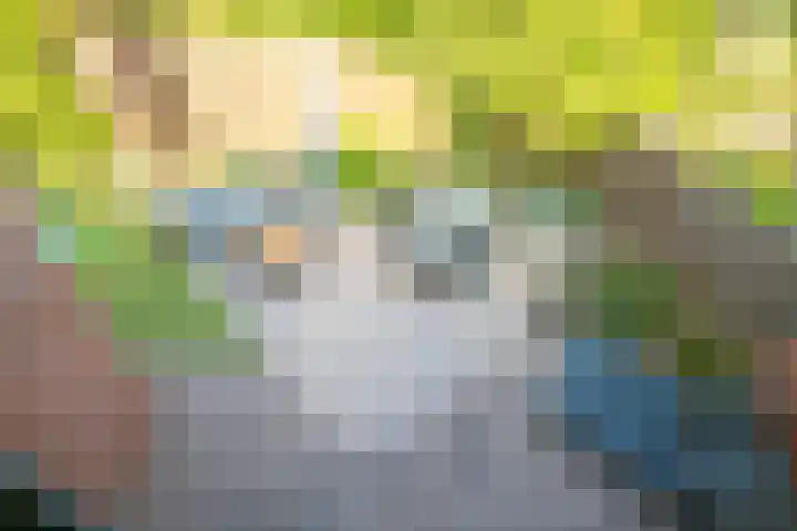Blokbrekersstraat 1 Berg en Terblijt thumbnail 19