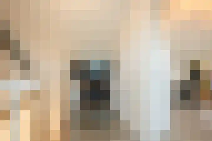 Blokbrekersstraat 1 Berg en Terblijt thumbnail 20