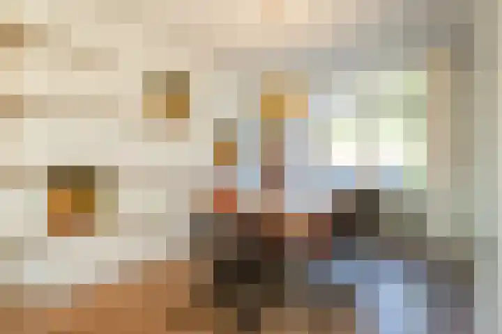Blokbrekersstraat 1 Berg en Terblijt thumbnail 5