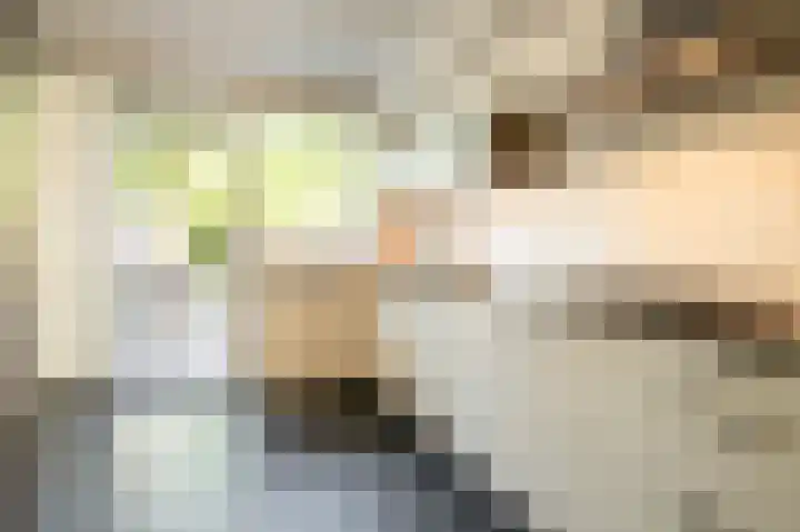 Blokbrekersstraat 1 Berg en Terblijt thumbnail 6