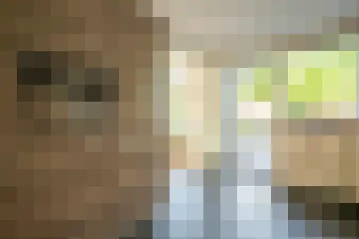 Blokbrekersstraat 1 Berg en Terblijt thumbnail 7