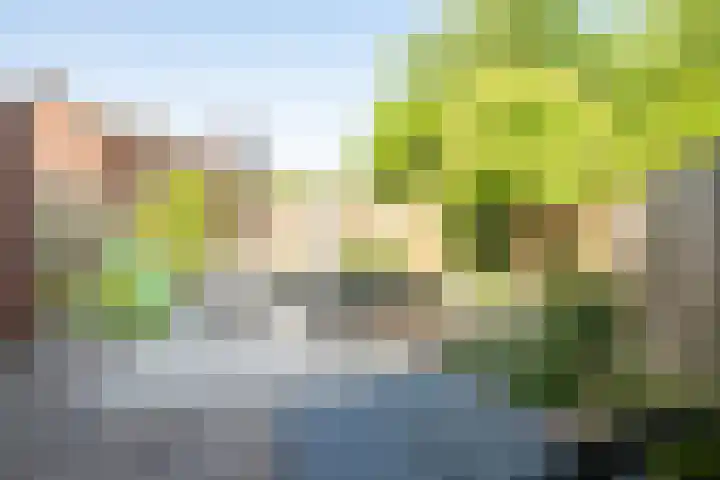 Blokbrekersstraat 1 Berg en Terblijt thumbnail 9