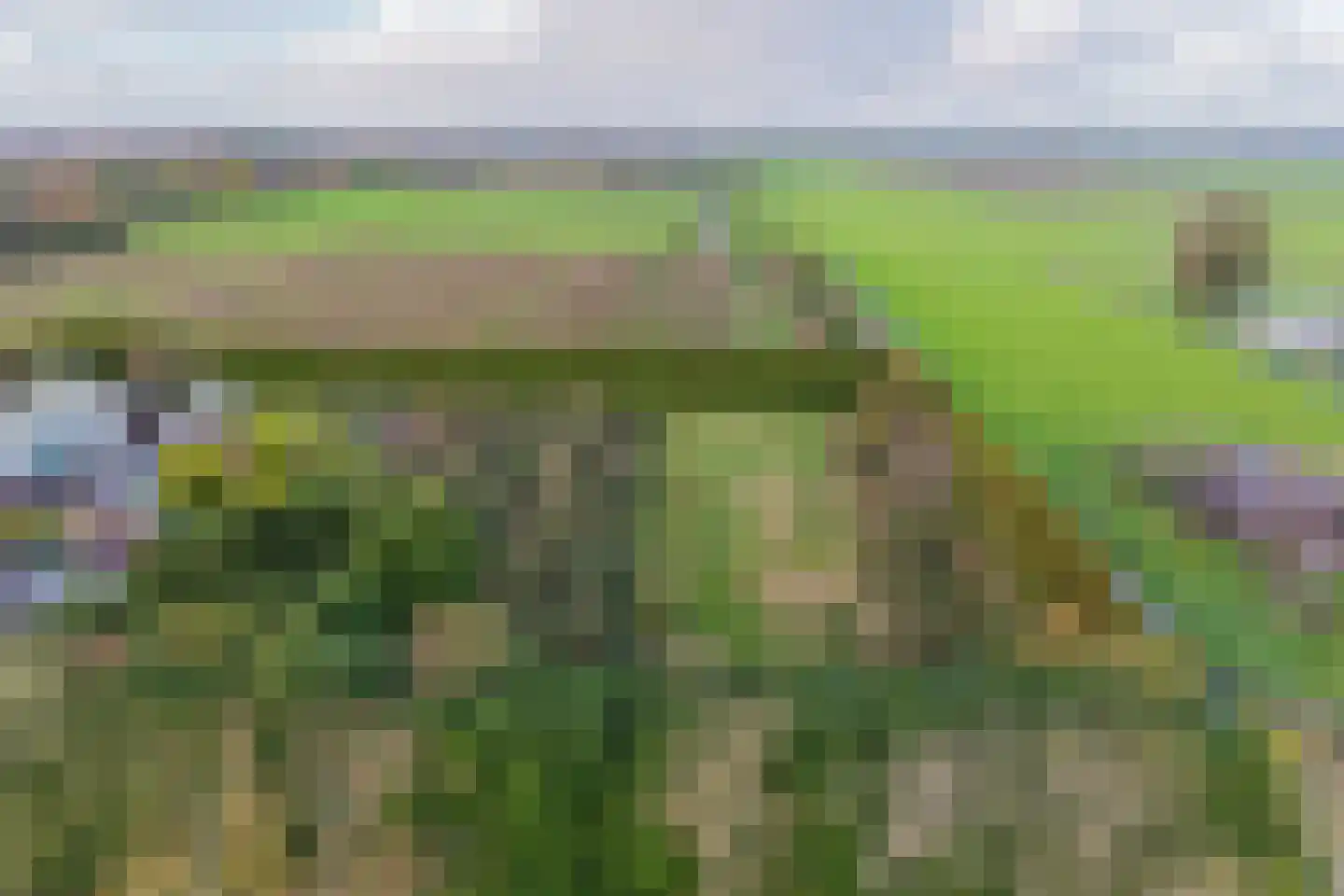 Blokdijk 32 Wijdenes thumbnail 5
