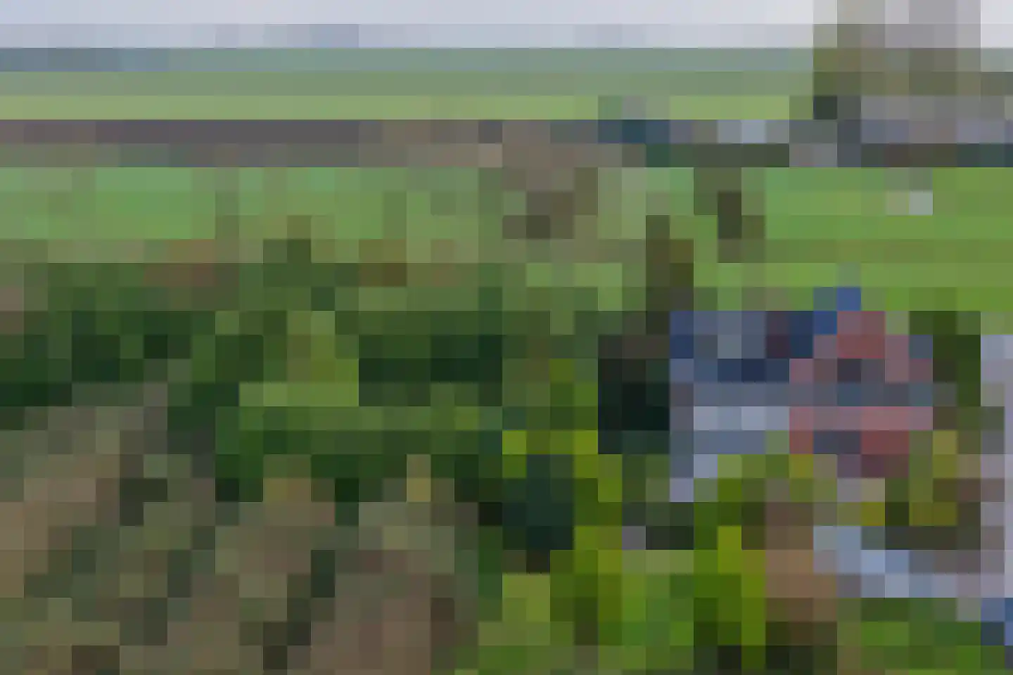 Blokdijk 32 Wijdenes thumbnail 7
