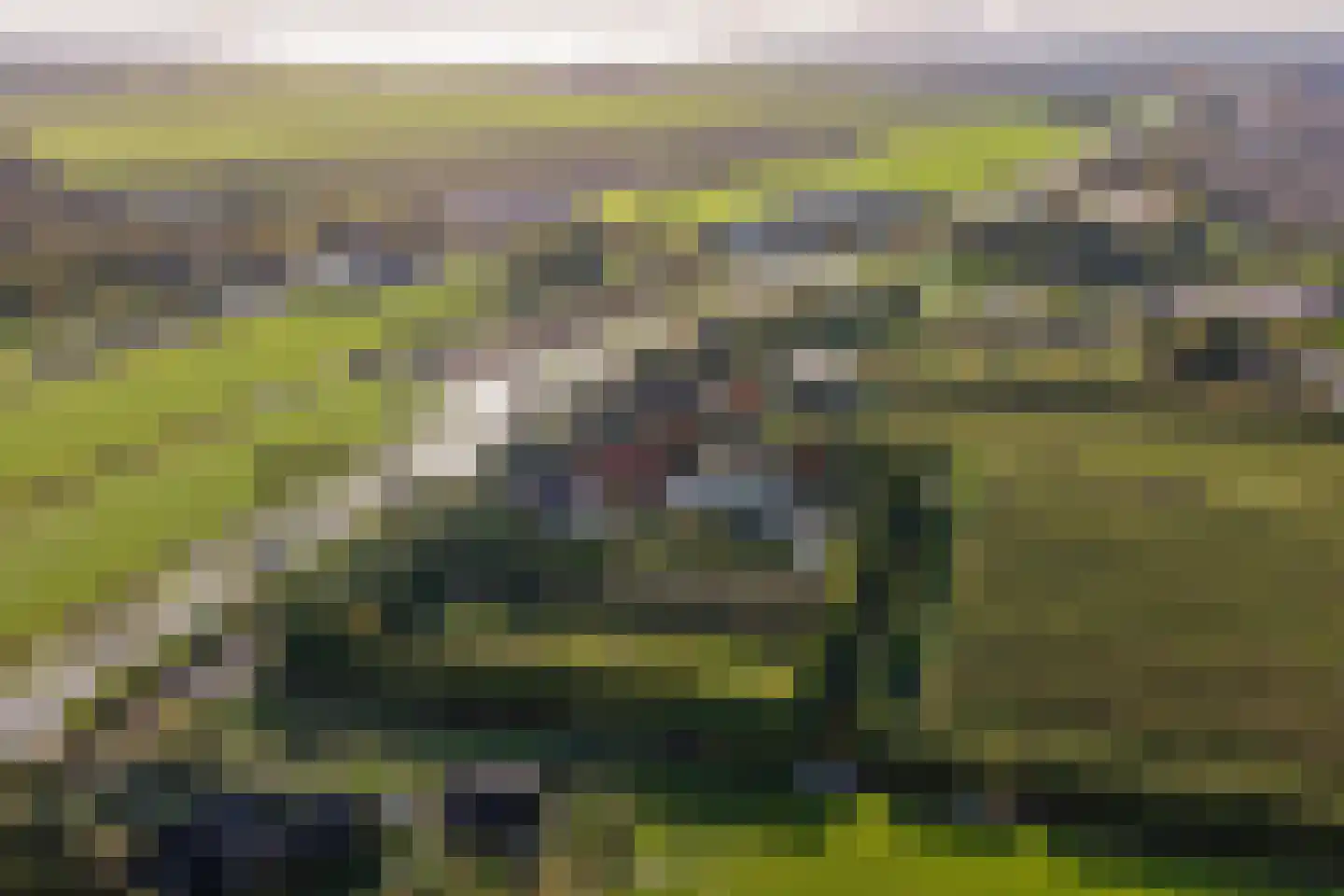 Blokdijk 32 Wijdenes thumbnail 9