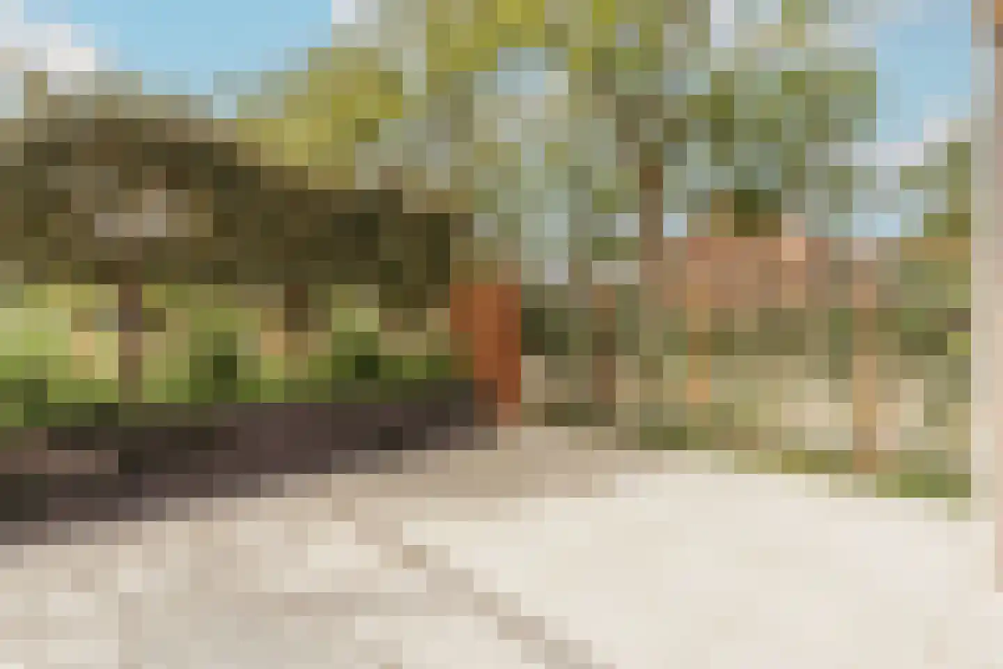 Blokdijkpad 2 Amsterdam thumbnail 12