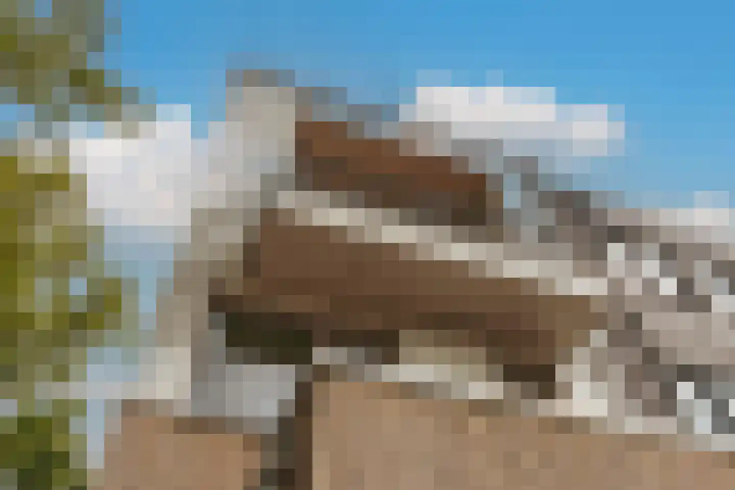 Blokdijkpad 2 Amsterdam thumbnail 14