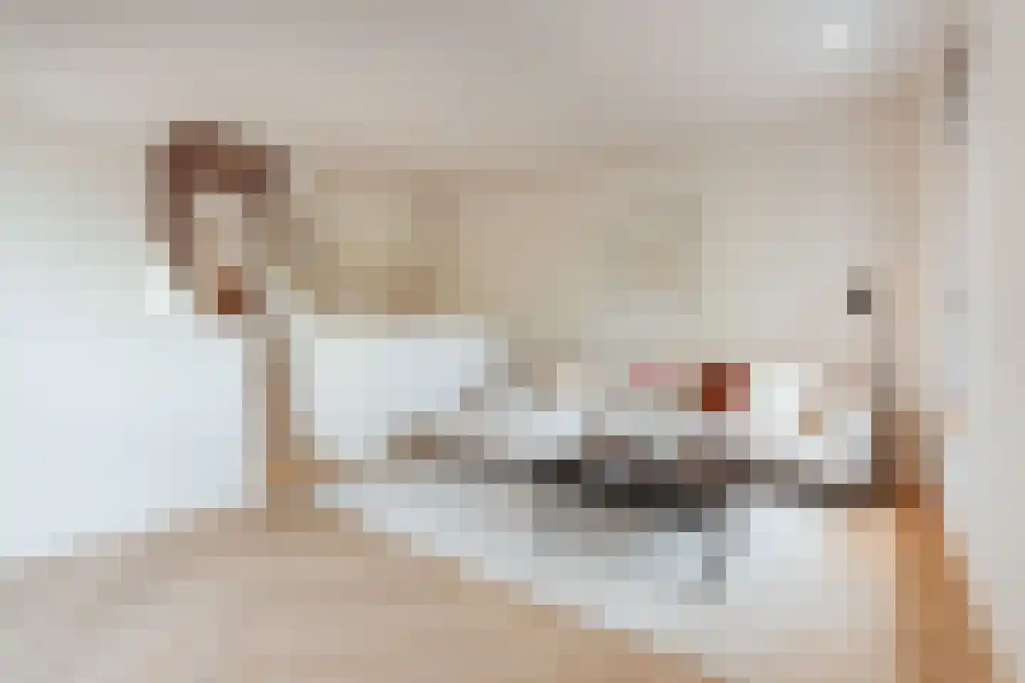 Blokdijkpad 2 Amsterdam thumbnail 19