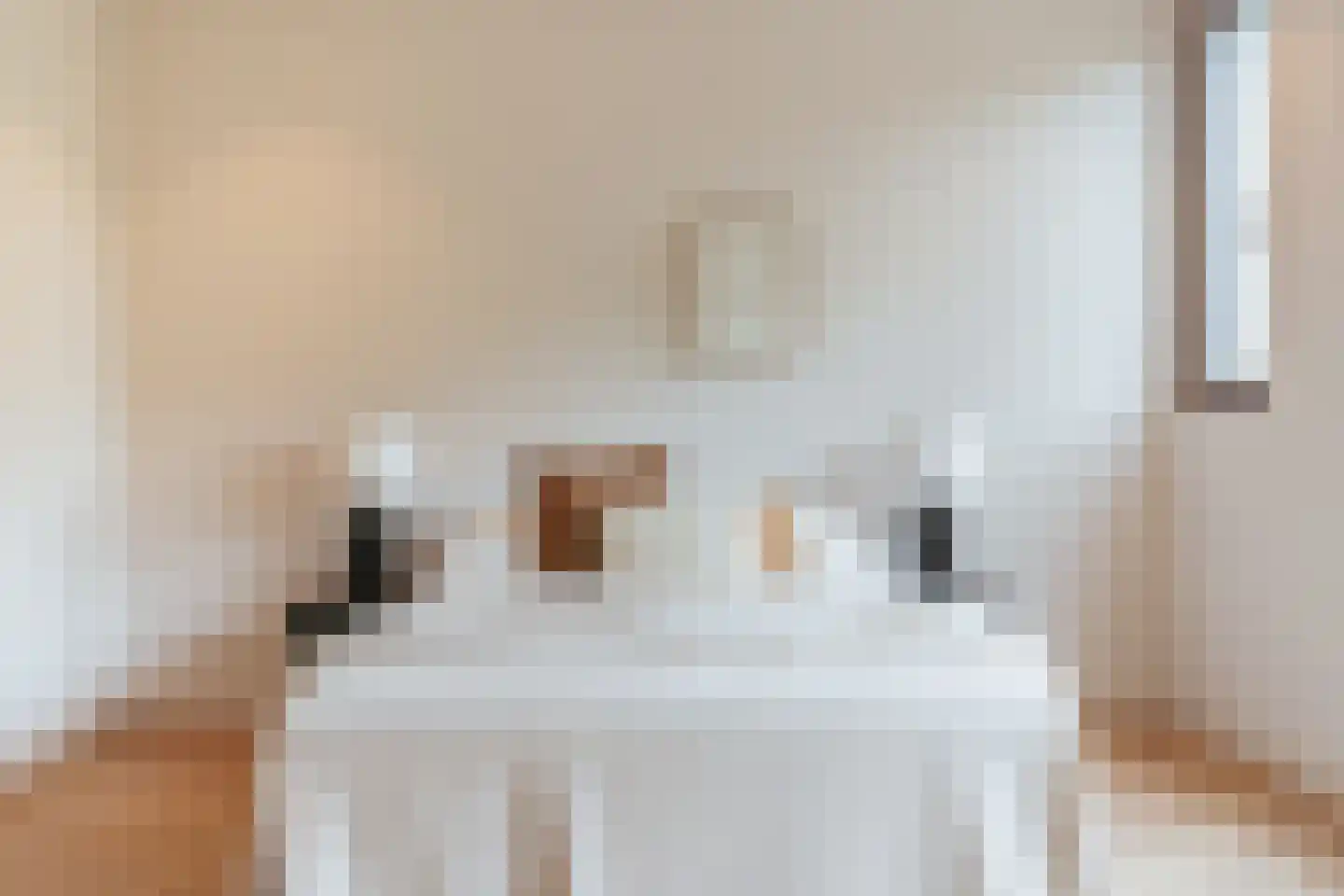 Blokdijkpad 2 Amsterdam thumbnail 25