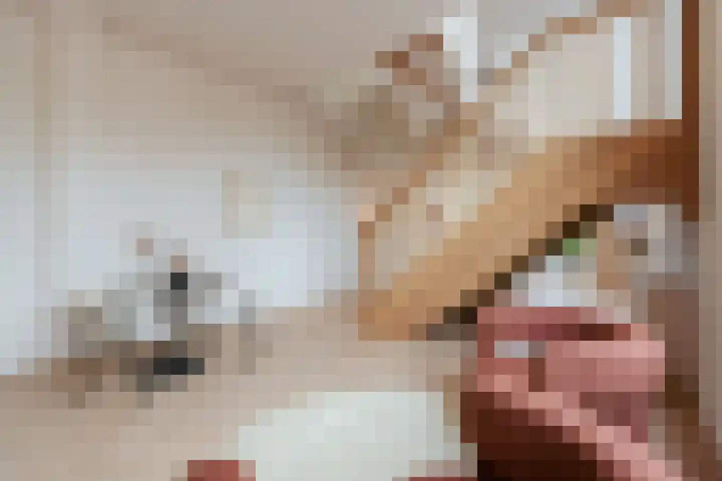 Blokdijkpad 2 Amsterdam thumbnail 4