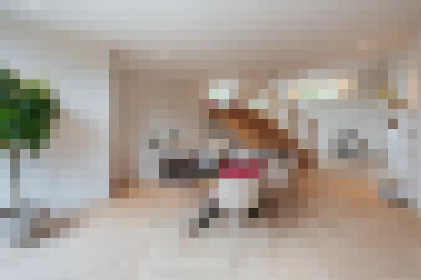 Blokdijkpad 2 Amsterdam thumbnail 9