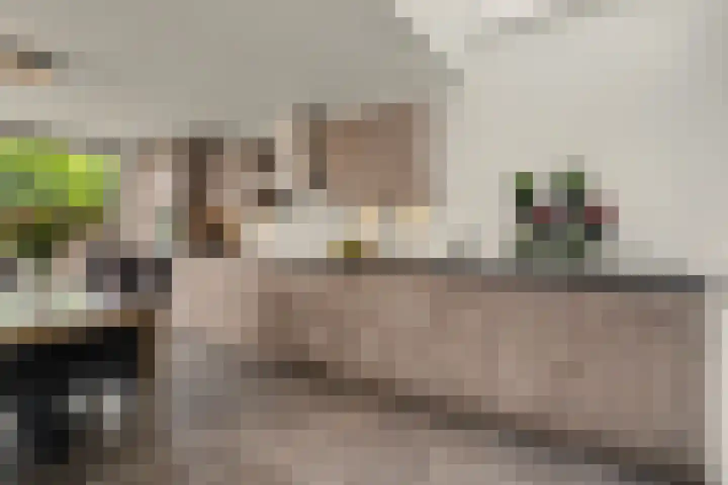 Blokekker 22 Reusel thumbnail 14
