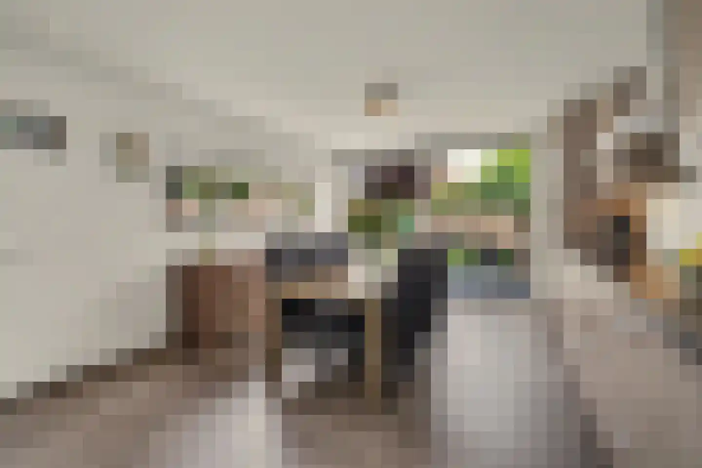 Blokekker 22 Reusel thumbnail 15