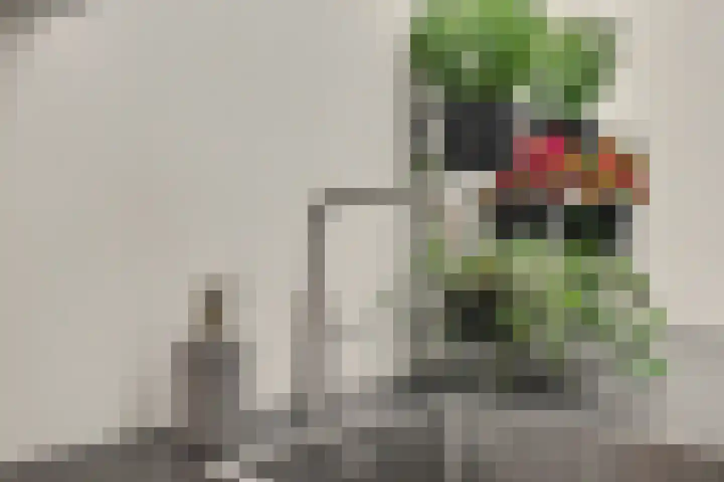 Blokekker 22 Reusel thumbnail 17