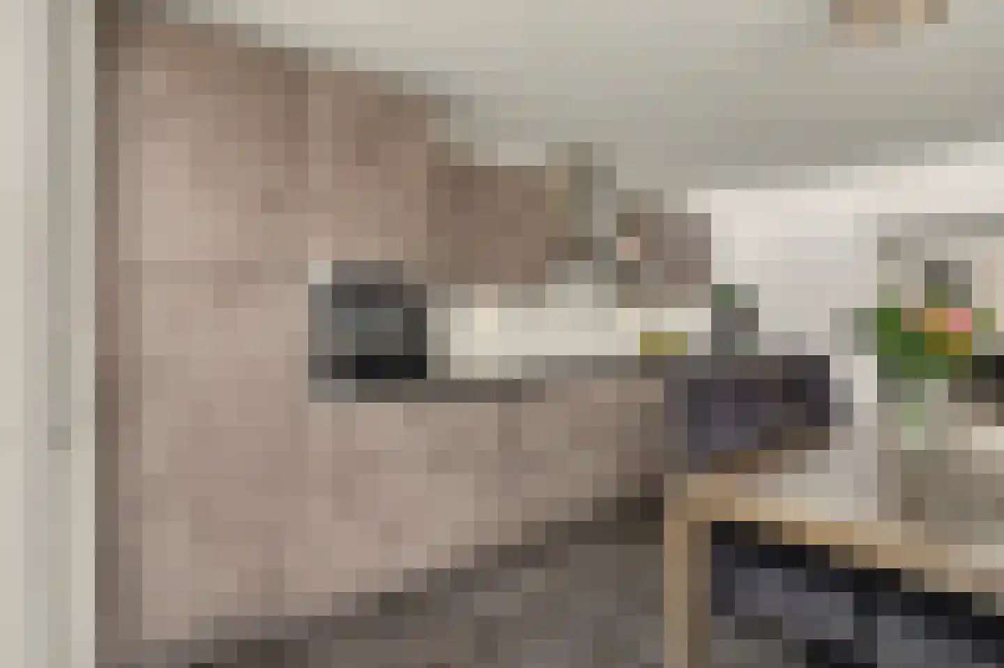 Blokekker 22 Reusel thumbnail 18
