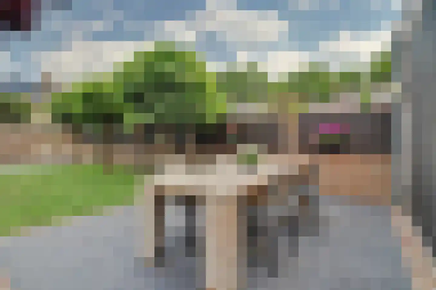 Blokekker 22 Reusel thumbnail 33
